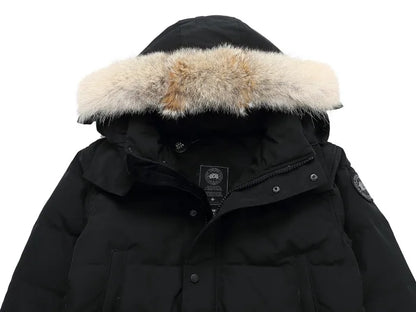 CG - PUFFER