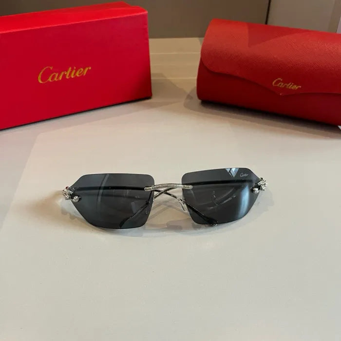 C - SONNENBRILLEN