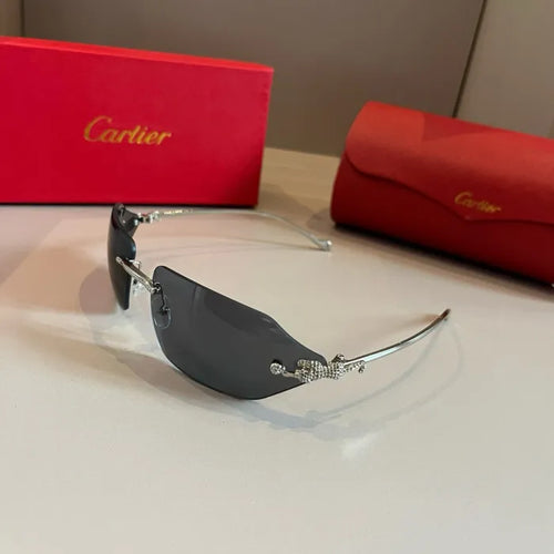 C - SONNENBRILLEN